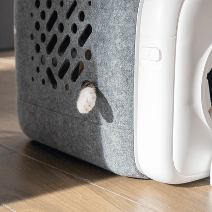 PawSwing AutoComb Pro