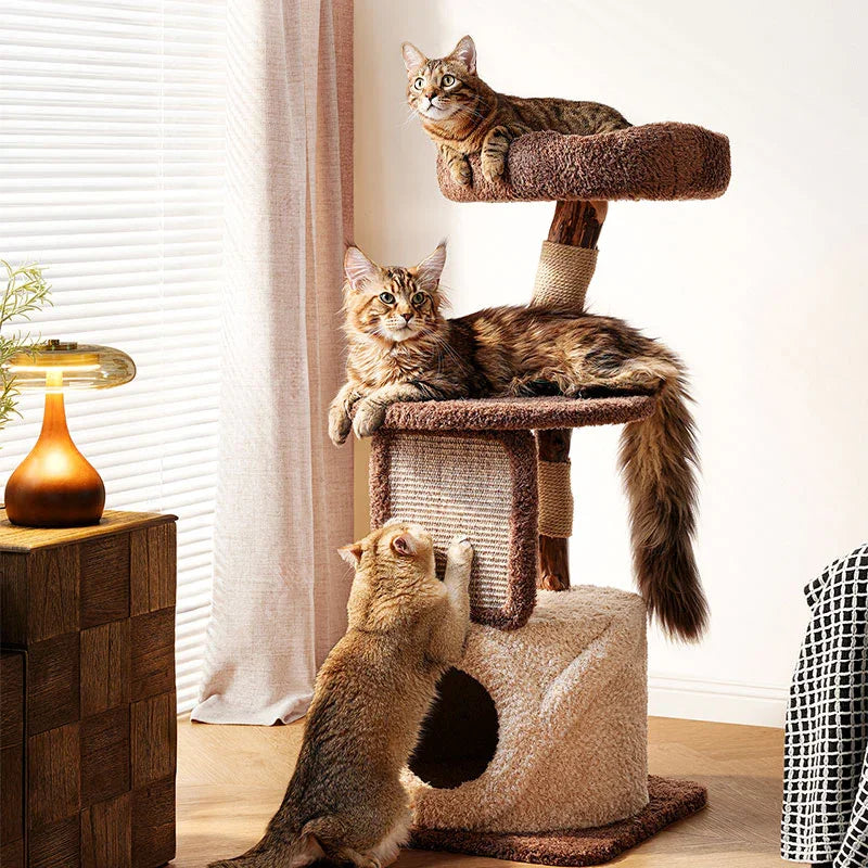 Treehouse Cat Tree for Multiple Cats Climbing Condo