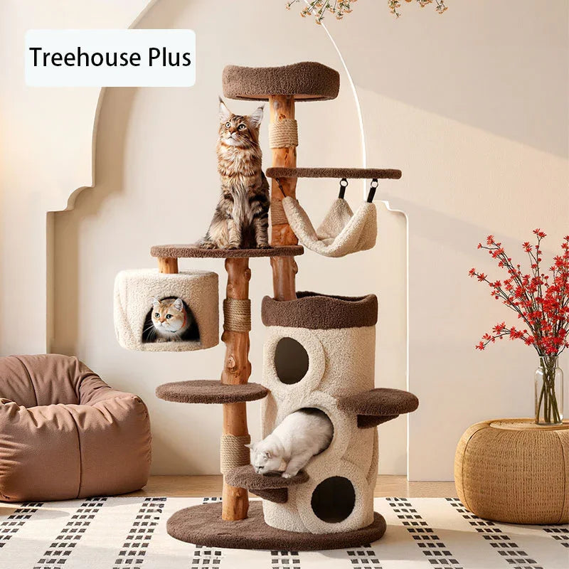 Treehouse Cat Tree for Multiple Cats Climbing Condo